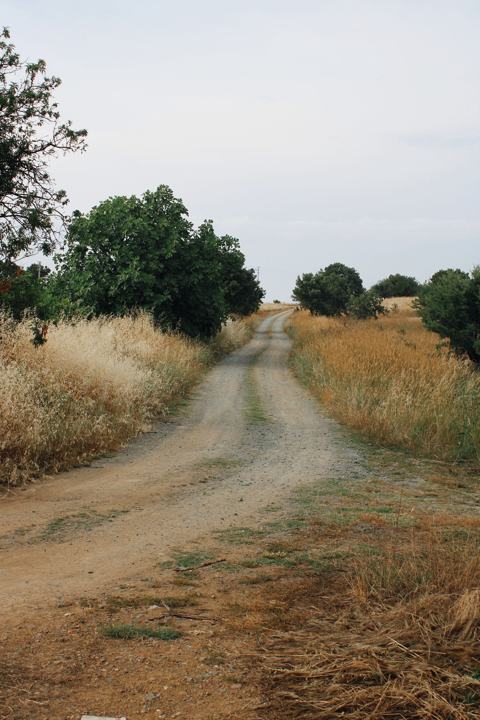 Mıcır serilmiş stabilize yol